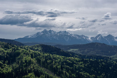 mountain