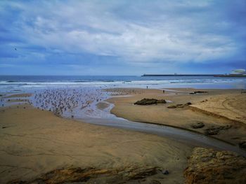 Scenic view of beach against sky