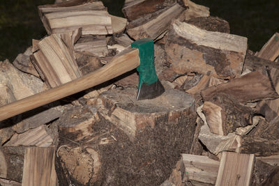 High angle view of logs in forest