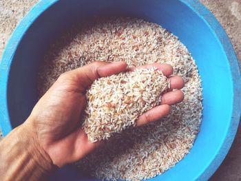 Directly above shot of person holding rice