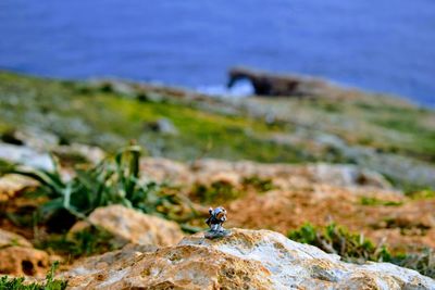 Close-up of rocks on rock