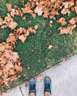 Low section of man standing on fallen autumn leaves