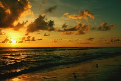 Scenic view of sea at sunset