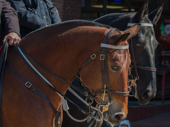 Men on horses