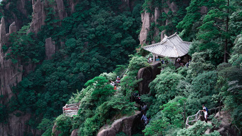 Panoramic view of people in forest