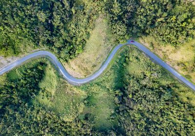 High angle view of road amidst trees in forest