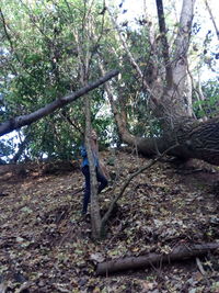 Woman in forest