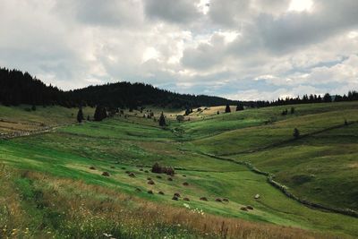 View of green landscape against cloudy sky