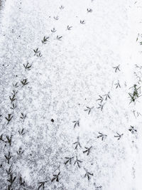 Full frame shot of snow covered land