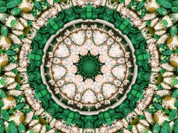 Full frame shot of flowers