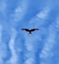 Low angle view of bird flying in sky