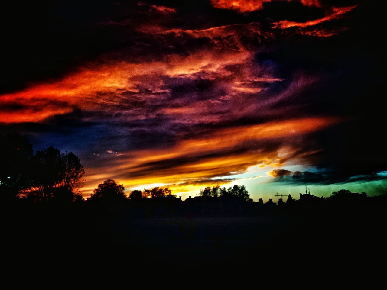 SCENIC VIEW OF SILHOUETTE TREES AGAINST SKY AT NIGHT