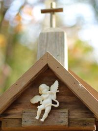 Close-up of stuffed toy on wood