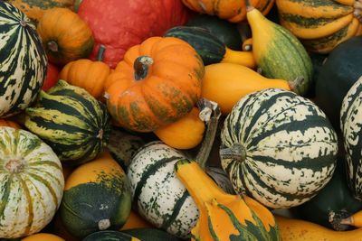 Full frame shot of pumpkins for sale