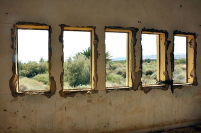 Close-up of window