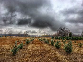 Scenic view of field against storm clouds