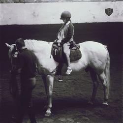 Man riding horse cart