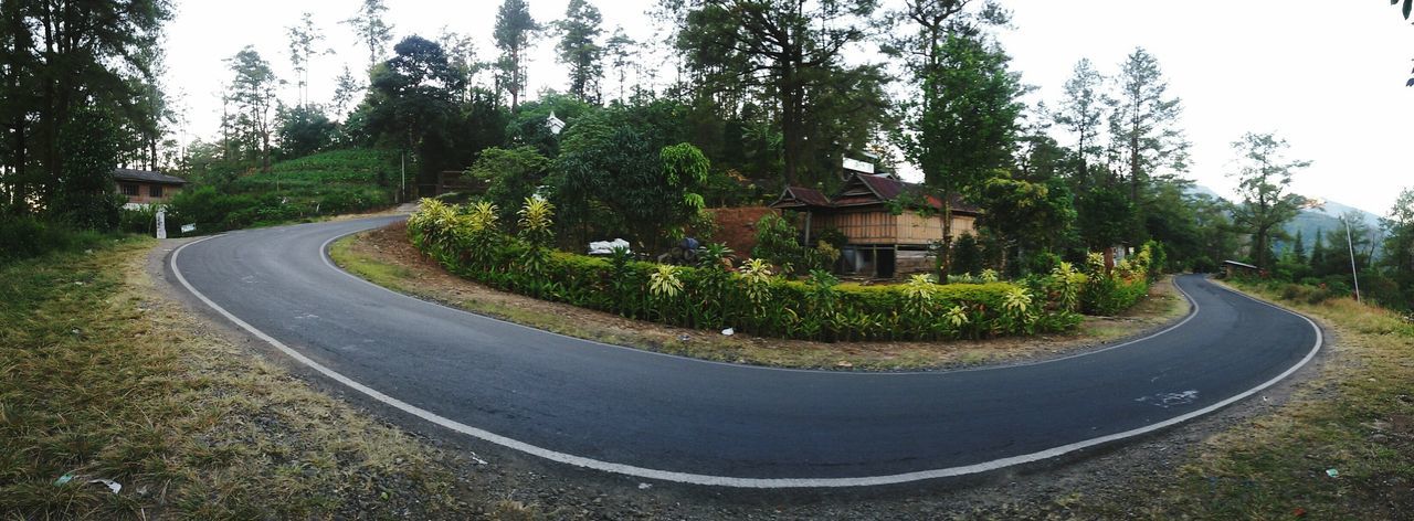 EMPTY ROAD ALONG TREES