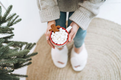 Young woman with cup of cocoa with marshmallow in room with christmas tree at home