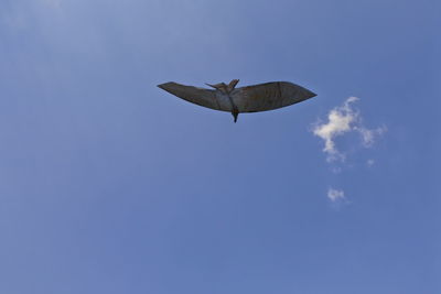 Low angle view of bird flying in sky