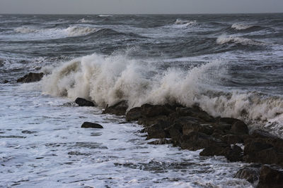 sea