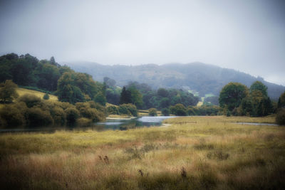 Scenic view of landscape against sky