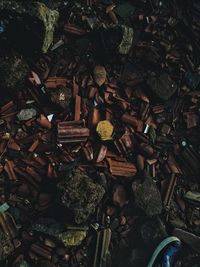 High angle view of logs in forest