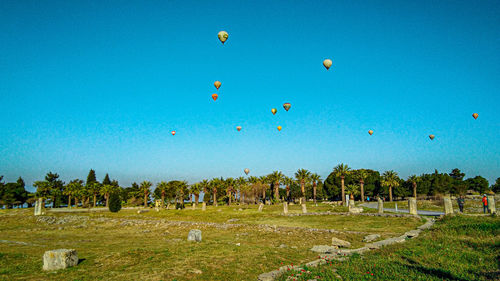 View of hot air balloons on field against blue sky