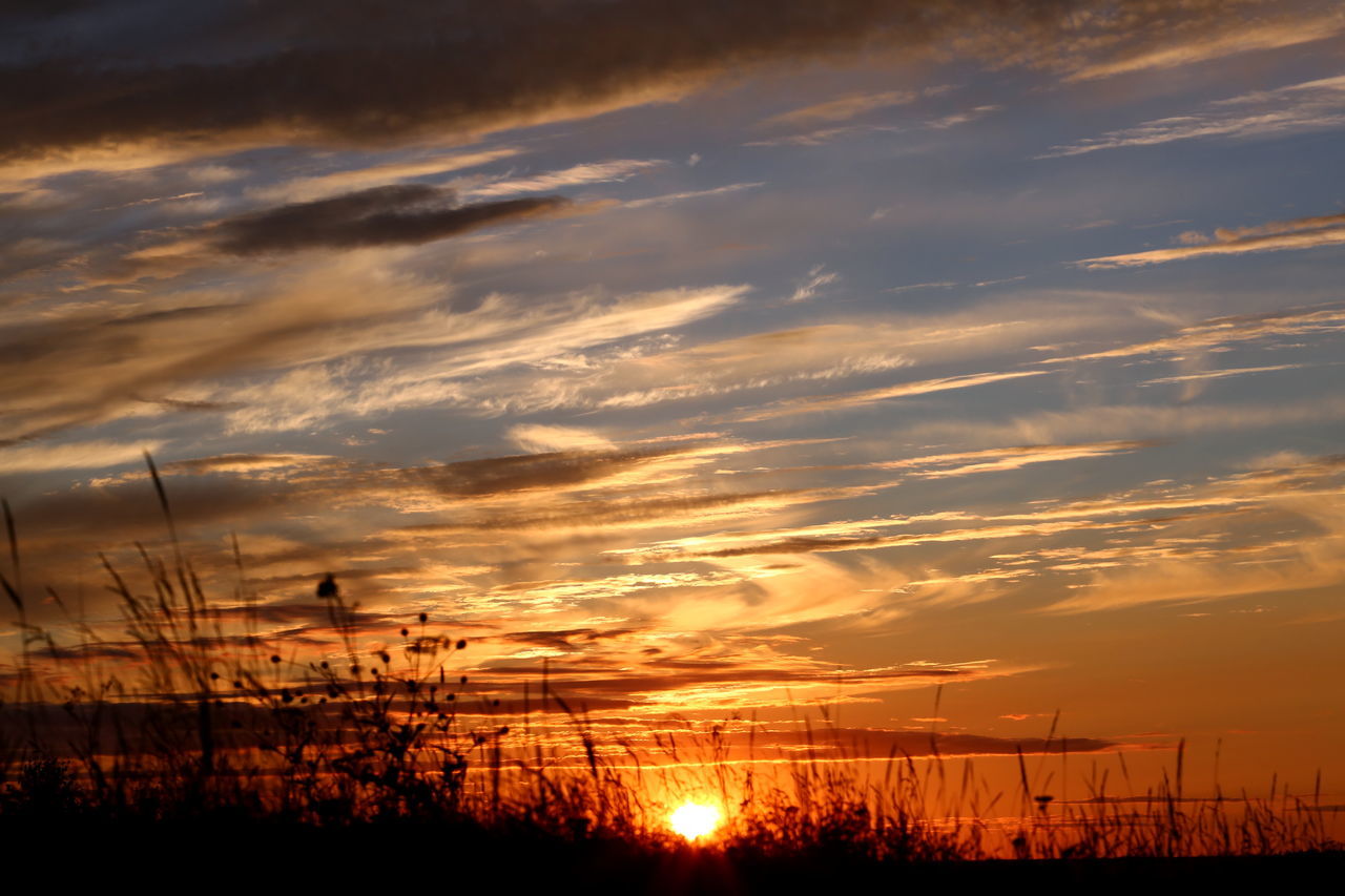 sky, sunset, cloud - sky, beauty in nature, scenics - nature, orange color, tranquil scene, tranquility, no people, nature, idyllic, silhouette, sun, non-urban scene, environment, land, plant, dramatic sky, sunlight, outdoors, power supply