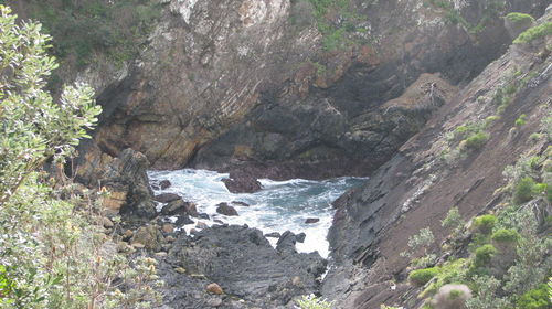 Scenic view of waterfall in forest