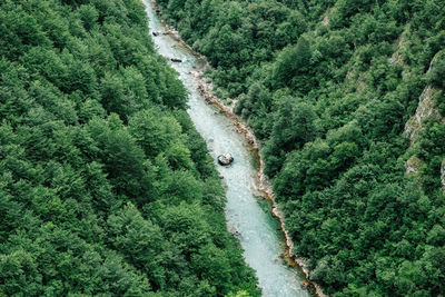 High angle view of waterfall amidst trees in forest