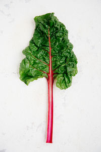 High angle view of vegetables on white background