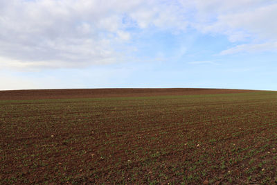 Scenic view of field against sky