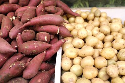 Close-up of russet and sweet potatoes yams for sale at market stall