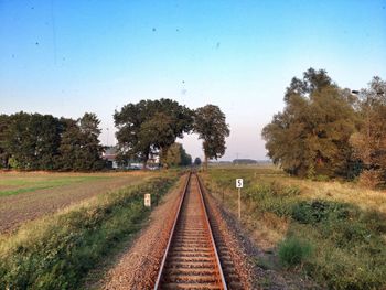 Railroad track along trees