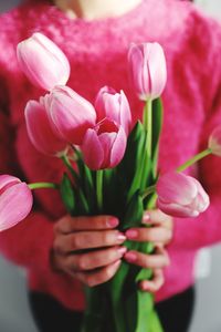 Close-up of pink tulip flowers