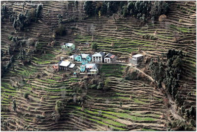 High angle view of agricultural landscape