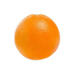 Close-up of orange against white background