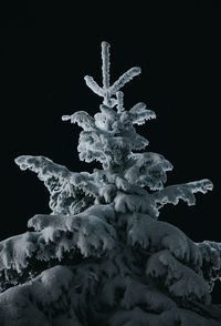 Close-up of frozen sculpture against black background