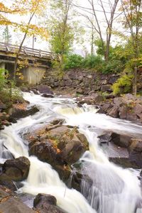 Stream flowing through rocks in forest