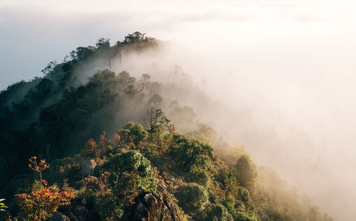 Scenic view of tree mountains against sky