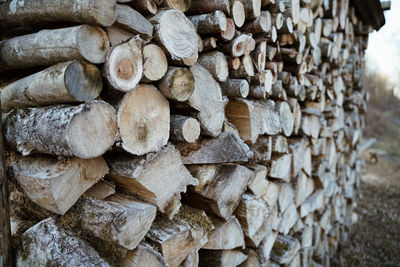 Full frame shot of logs 