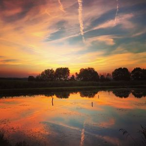 Scenic view of trees against sky during sunset