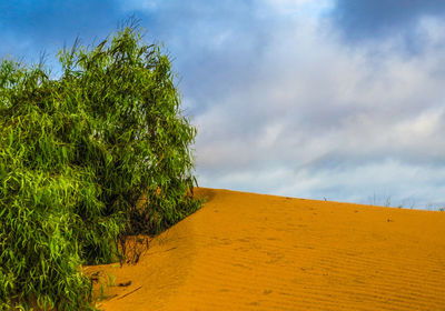 Scenic view of land against sky