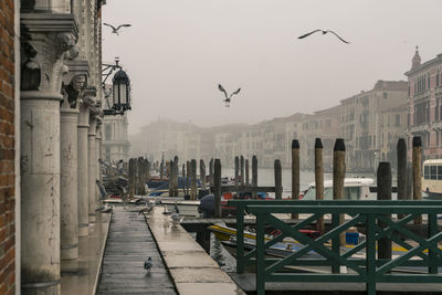 Foggy venice