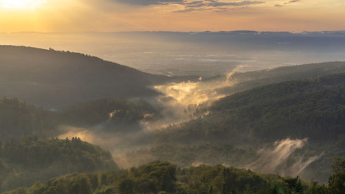 Fog settles over the waldprechts valley in the black forest after a summer thunderstorm