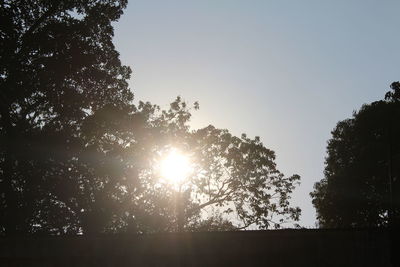 Low angle view of silhouette trees against sky during sunset