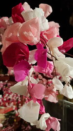Close-up of pink flowers