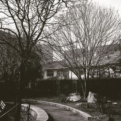 Bare trees in front of building