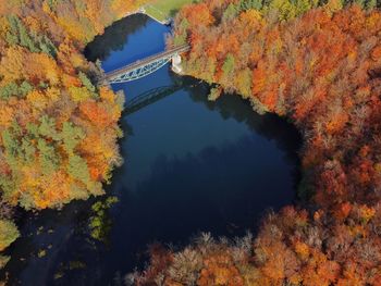 High angle view of autumnal trees by lake